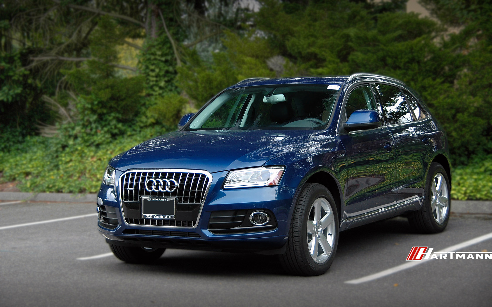 Audi B8 Q5 Hartmann Wheels HRS6 172 GS 19 UA1 HWM